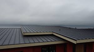 Best Solar Panel Roofing Installation  in Millington, TN